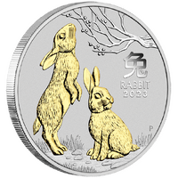 2023 Australian Lunar Series III Year of the Rabbit 1oz Silver Gilded Perth Mint Presentation Case & COA image