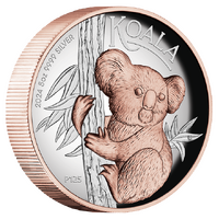 2024 Australian Koala 5oz Silver Proof High Relief Gilded Perth Mint Presentation Case & COA image