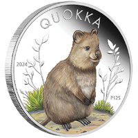 2024 Australian Quokka 1oz Silver Proof Coloured Perth Mint Presentation Case & COA image