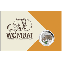 2024 Australian Wombat 1oz Silver Coloured Perth Mint Coin in Card image