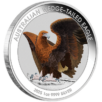 2025 Australian Wedge-Tailed Eagle 1oz Silver Coloured Perth Mint Coin in Card